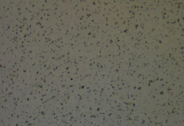 Carbure de silicium fritté directement(SSiC or Q1)